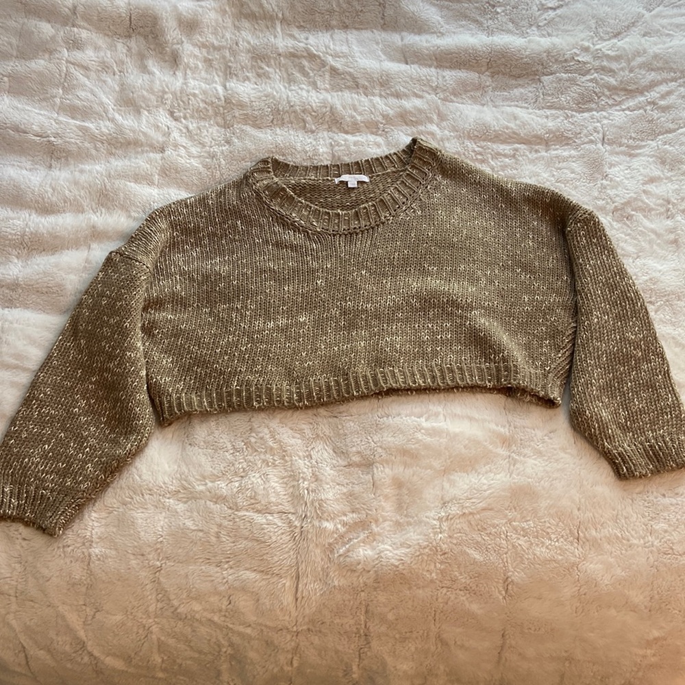 American Eagle Don’t Ask Why Cropped Tan Sweater